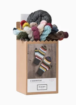 21 Color Mitten Kit